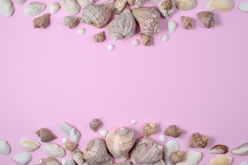 Creative flat lay concept of summer travel vacations. Top view of various kinds seashells on pink background. Copy space in minimal style, template for text