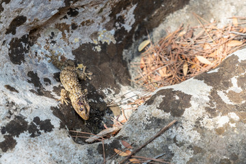 Ancient rock churches. Hidden and beautiful Puglia. St Nicholas