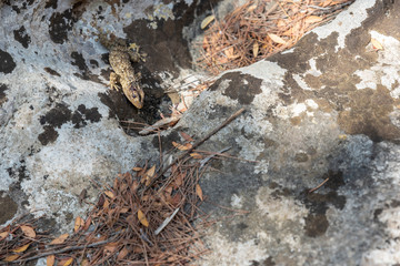 Ancient rock churches. Hidden and beautiful Puglia. St Nicholas