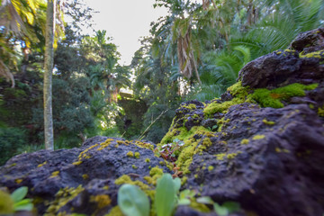 Fototapeta premium natural scenery on the azores