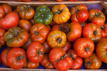 lots of tomatoes on a branch on counter