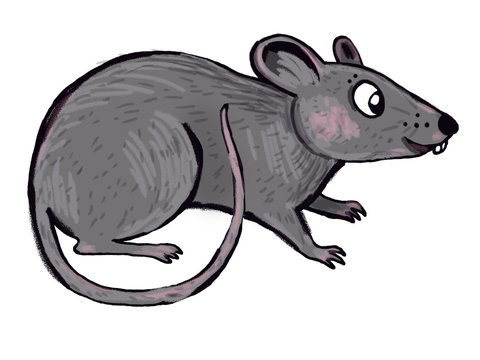 cute little mouse illustration - paint on a tablet
