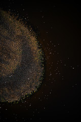 Seagull colony at spring