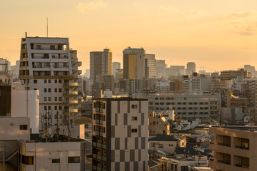 Obraz premium 墨田区から見る夕方の都市風景２