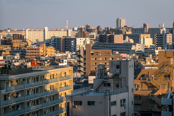 墨田区から見る夕方の都市風景１