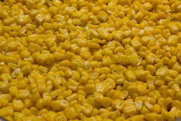 Bulk of boiled yellow corn grains texture