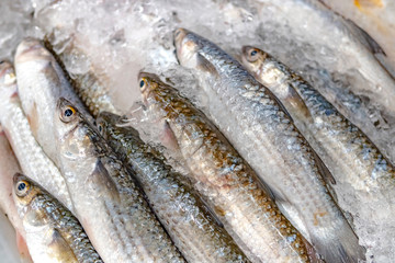 Keeping fish fresh all the time with small ice cubes