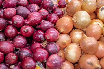 The difference type between shallot and onion