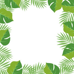 Exotic palm leaves frame vector illustration