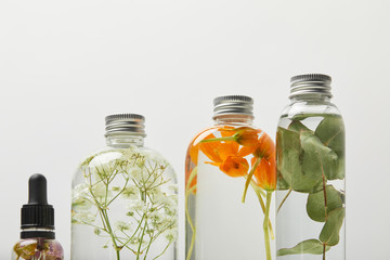 organic beauty products in transparent bottles with herbs, leaves and wildflowers isolated on grey