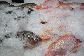 fish on ice