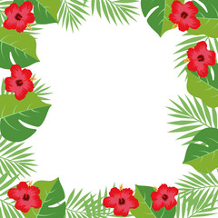 Exotic palm leaves frame with hibiscus flowers vector illustration