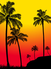 Fototapeta na wymiar Abstract summer tropical palm trees forest silhouette