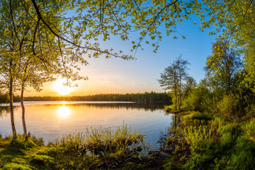 Fototapeta na wymiar Lake with trees at sunset on a beautiful summer evening