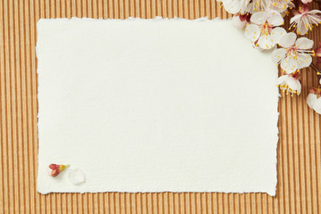 top view of tree branch with blooming spring flowers on white blank stripped card on textured background