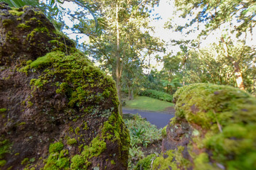 natural scenery on the azores