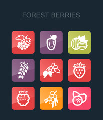 Forest berries icons set