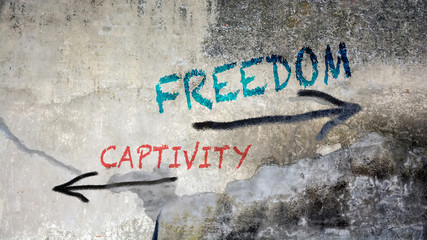 Wall Graffiti to Freedom versus Captivity