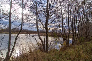 Foto auf Leinwand Pond in nature in autumn © schankz