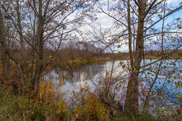Fototapeta na wymiar Pond in nature in autumn