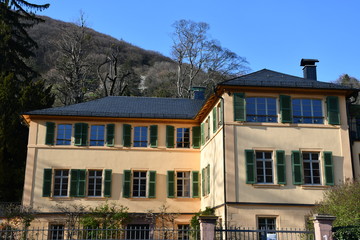 Fototapeta na wymiar romantische Villa in Heidelberg mit schöner Architektur