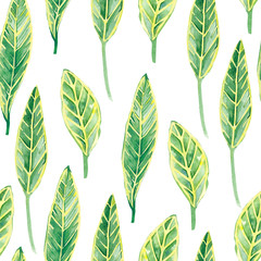 Fototapeta na wymiar watercolor tropical leaves seamless pattern, colorful exotic summer print for the textile fabric and wallpapers