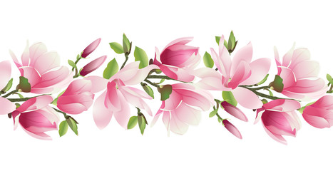 Magnolia Flowers. A branch of magnolia with pink flowers and leaves on a white background. Spring flowers in vector. Vector illustration. © dinatychynska