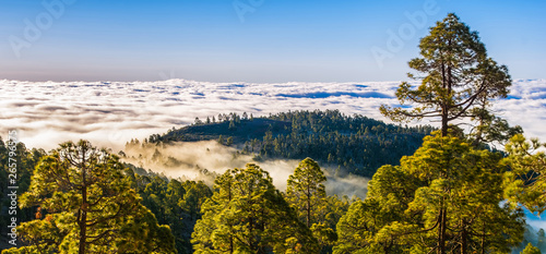 Amazing Natural Landscape Of Foggy Mountains Forest Natural
