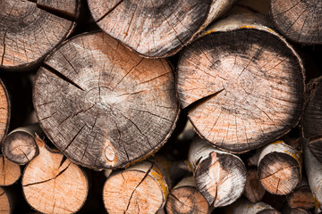 Fototapeta premium Woodpile background. Nature concept. Close up.