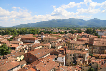 Fototapeta na wymiar Lucca city, Tuscany view from the tower Guinigi