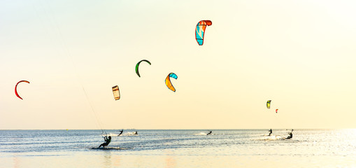 Kite-surfing and a lot of silhouettes of kites in the sky. Holidays on nature. Artistic picture. Beauty world. Panorama - obrazy, fototapety, plakaty
