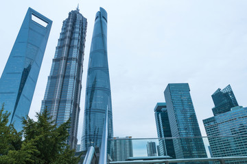 Obraz premium A cluster of tall buildings in the leaves