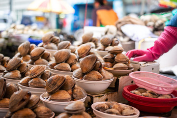 Clam sell on fish market in Busan