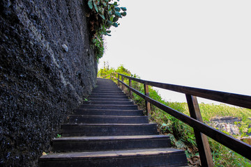 Fototapeta premium The staircase up the hill is in the forest.