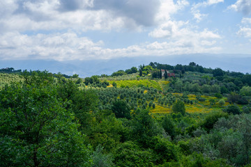 Unique tuscany landscape. A lonely farmhouse with olive trees, rolling hills, Tuscany, Italy. Travel. Beautiful destination. Holiday outdoor vacation trip.
