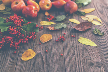 Harvest of red apples, autumn leaves and red berries on old boards. Autumn background.