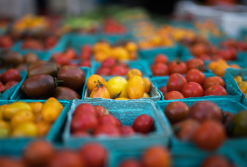 Pint baskets of organic red tomatoes on the counter. Fresh organic produce on sale at the local farmers market. Organic, agriculture products. Freshly, seasonal harvested vegetables. Bio, healthy.