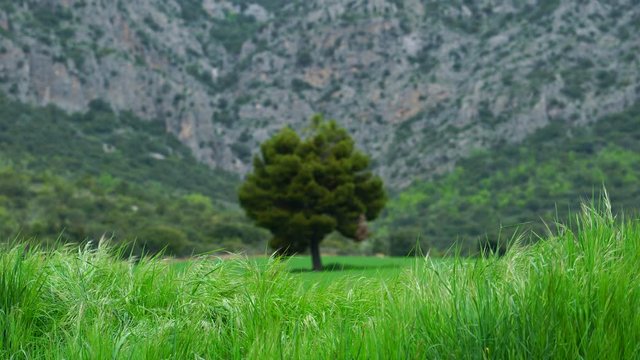 Landscape in Ager, Sierra del Montsec, Lleida, Catalonia, Spain, Europe