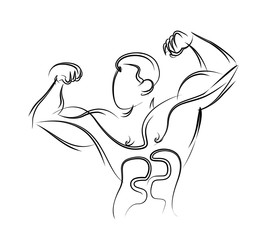 Bodybuilding Sport and activity line drawing, Vector Illustration.