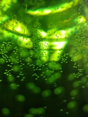 abstract green background with lots of light spots