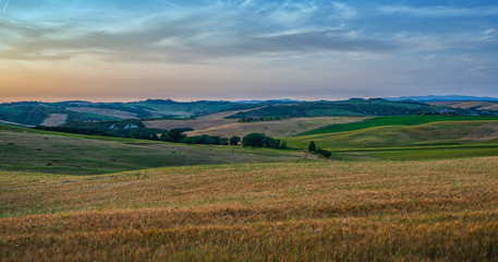 Fototapeta na wymiar Tuscan hills during harvest period. Unique landscape with rolling hills. Travel. Beautiful destination. Vacation trip.