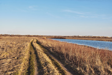 Textures of the spring forest. Nature is far from the city.