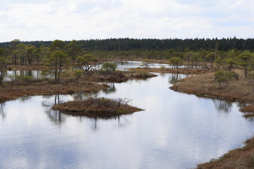 Lake and small islands in marsh.