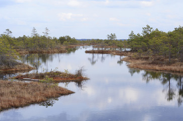 Fototapeta na wymiar Lake and small islands in marsh.