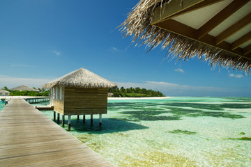 Die Malediven: Ein Paradies im Indischen Ozean