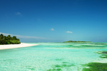 Fototapeta na wymiar Die Malediven: Ein Paradies im Indischen Ozean