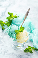 Ice cream with mint in ceramic bowl