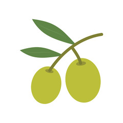 Olive tree branch icon. Vector illustration