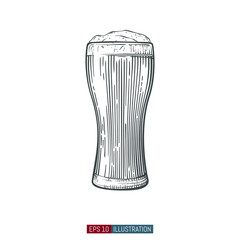 Hand drawn isolated beer glass. Engraved style. Template for your design works. Vector illustration.