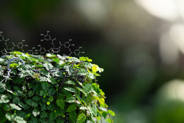 Plants background with biochemistry structure.